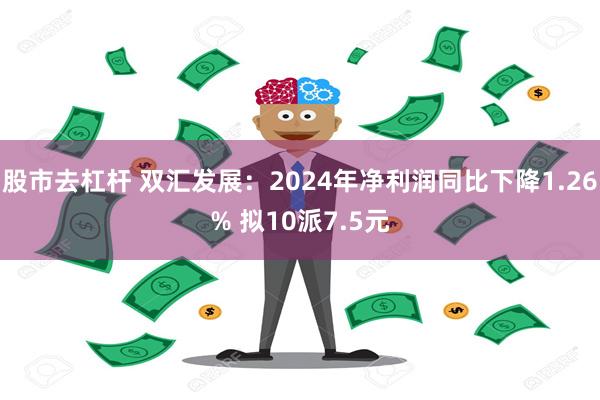 股市去杠杆 双汇发展：2024年净利润同比下降1.26% 拟10派7.5元