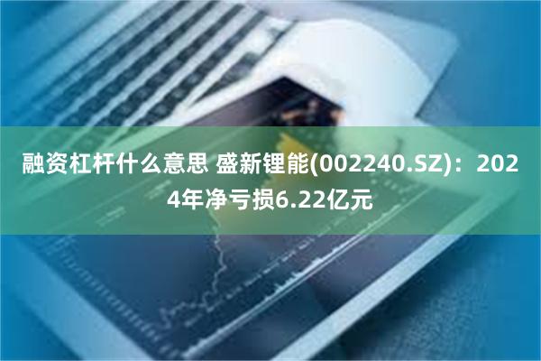 融资杠杆什么意思 盛新锂能(002240.SZ)：2024年净亏损6.22亿元