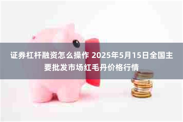 证券杠杆融资怎么操作 2025年5月15日全国主要批发市场红毛丹价格行情