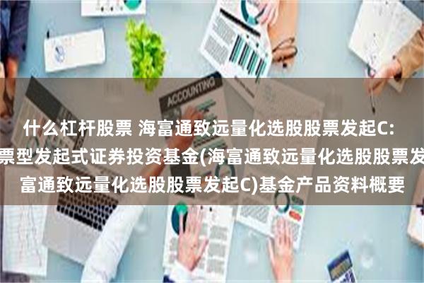 什么杠杆股票 海富通致远量化选股股票发起C: 海富通致远量化选股股票型发起式证券投资基金(海富通致远量化选股股票发起C)基金产品资料概要