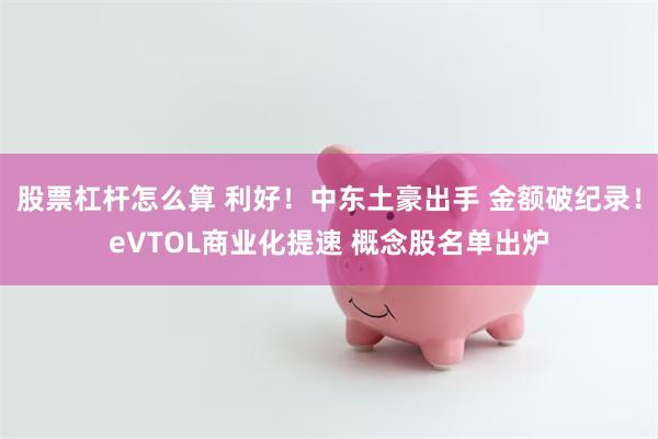 股票杠杆怎么算 利好！中东土豪出手 金额破纪录！eVTOL商业化提速 概念股名单出炉