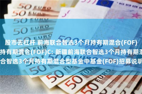 股市去杠杆 前海联合智选3个月持有期混合(FOF)A,前海联合智选3个月持有期混合(FOF)C: 新疆前海联合智选3个月持有期混合型基金中基金(FOF)招募说明书(更新)