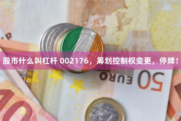 股市什么叫杠杆 002176，筹划控制权变更，停牌！