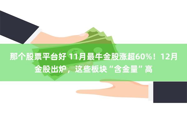那个股票平台好 11月最牛金股涨超60%!12月金股出炉,这些板块“含金量”高